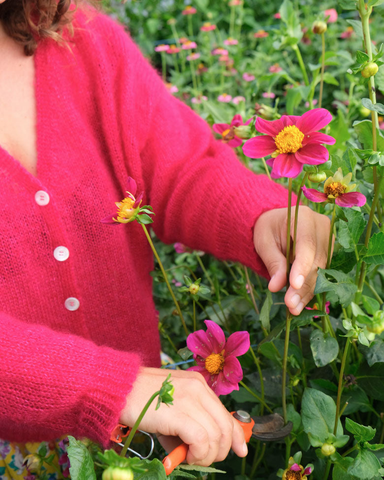 Cardigan Cosmos - Framboise