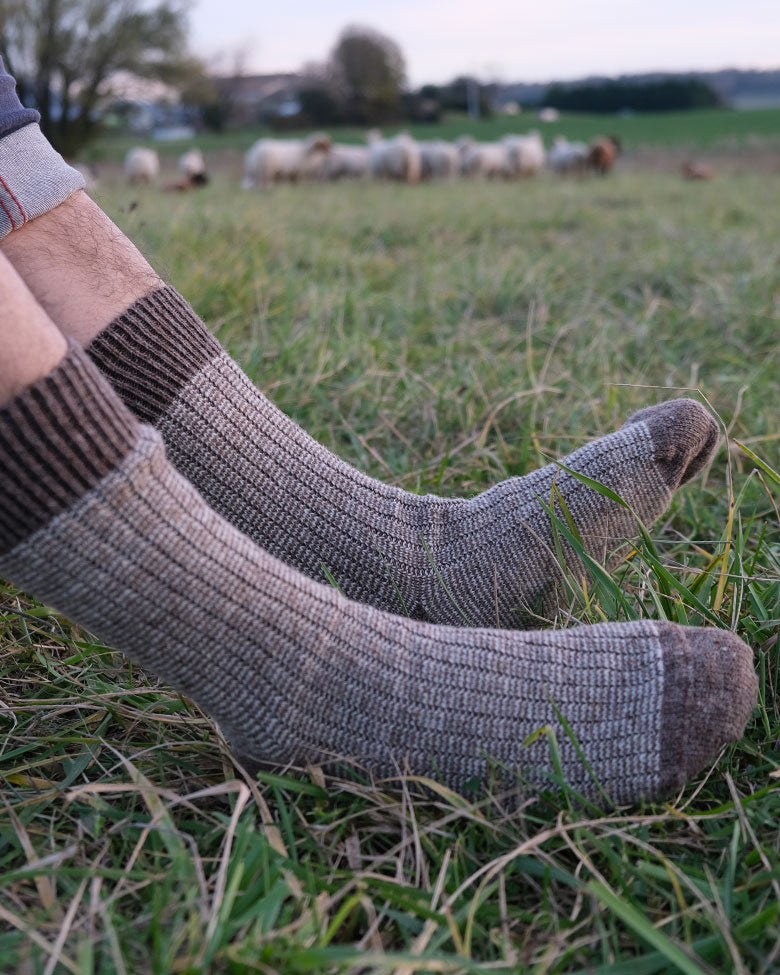 Chaussettes de la ferme