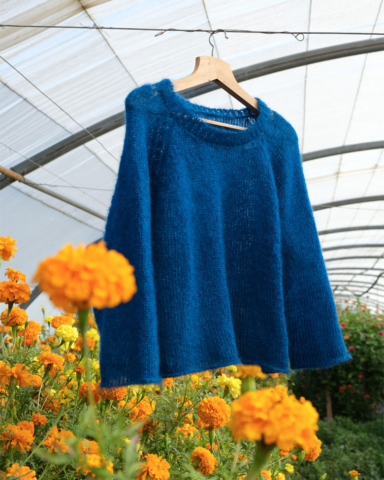 Pull Dahlia - Paon