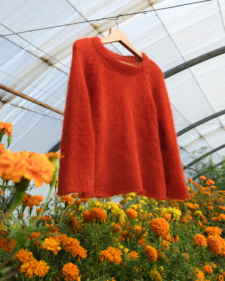 Pull Dahlia - Potiron