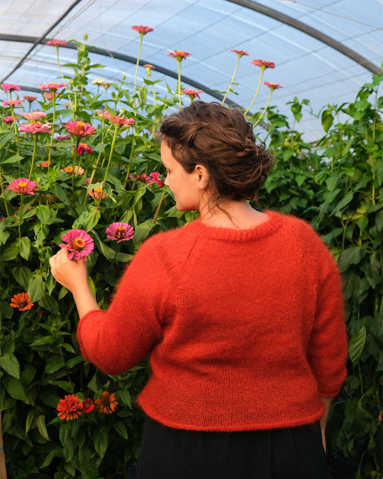 Pull Dahlia - Potiron